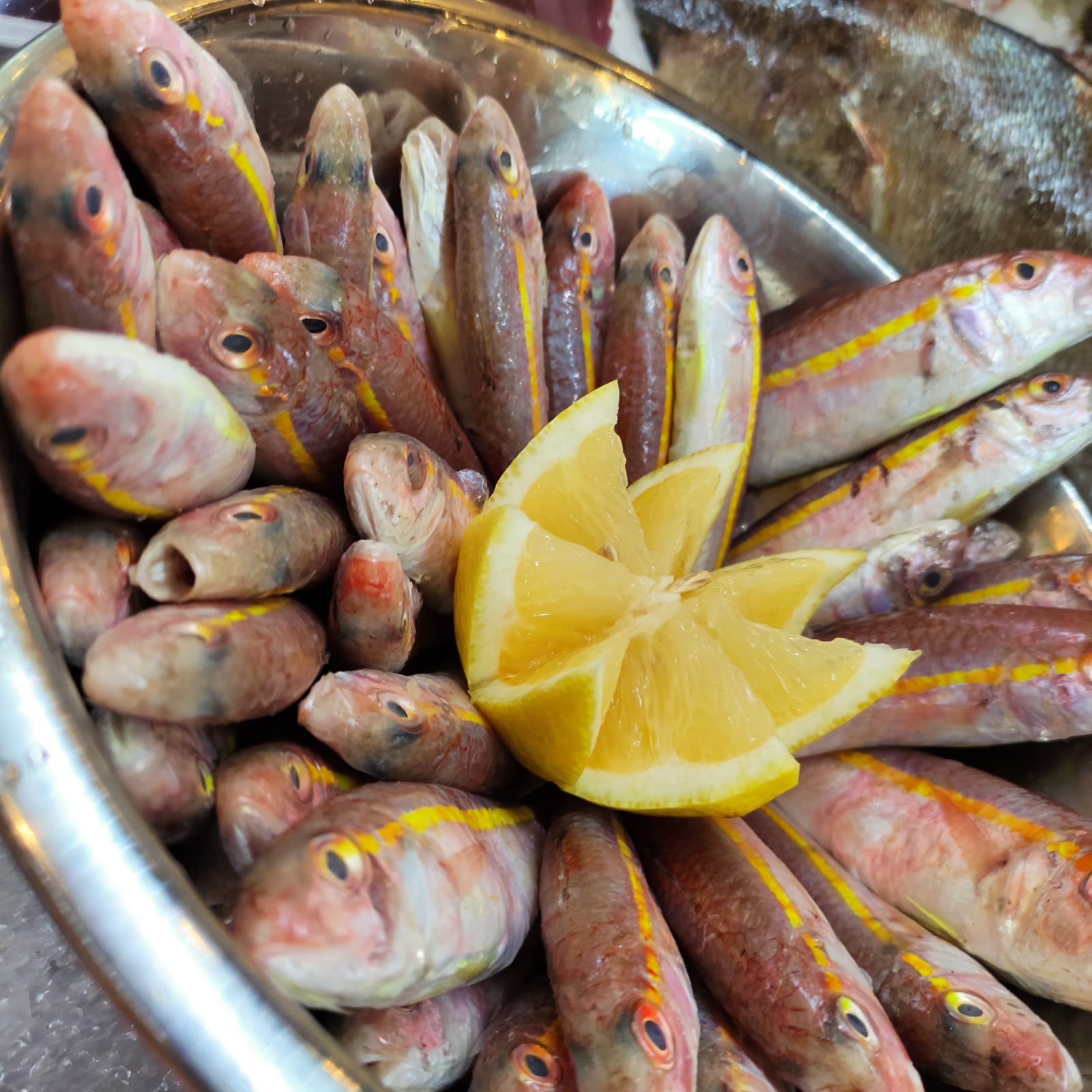 WhatsApp Image 2021-08-19 at 1.53.13 PM (1).jpeg